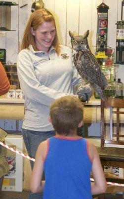 Ambassador birds from Montana Wildlife Rehab Center visit during the Spring and Fall Art Walks, and on First Fridays on Last Chance Gulch.