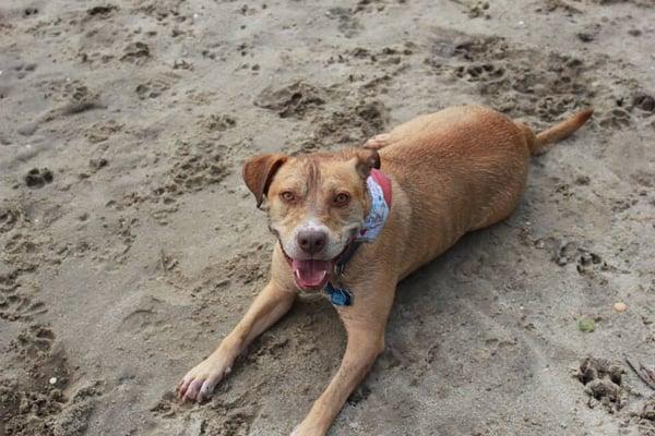 Enjoying the cool sand pit!