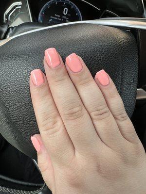 Gel polish