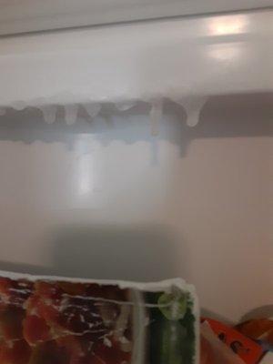 Freezer Melting down