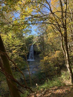 Williamsport Falls