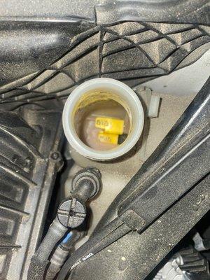 They didn't add no coolant in the car after the repair