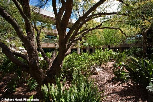 Scottsdale Professional Building atrium