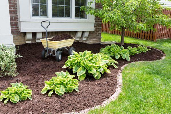 Mulch is a great outdoor activity