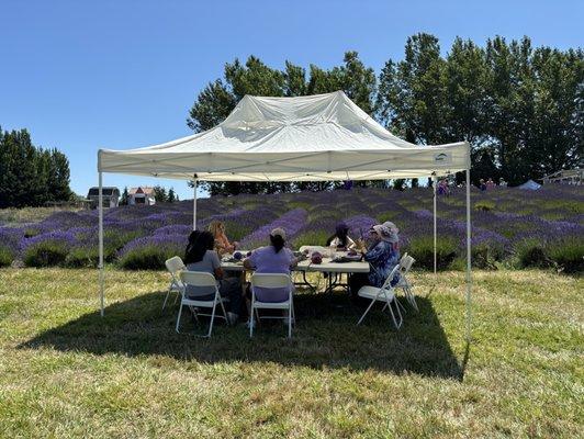 They taught visitors how to make dolls with lavender and wool!