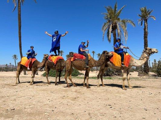 Camel tour in Morocco!