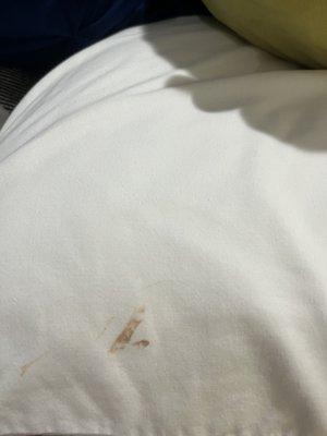 Stains on the pillows and sheets