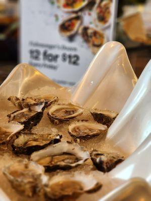 Fridays 12 for $12 OYSTERS