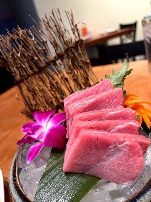 Bluefin Toro - Rating: 5/5