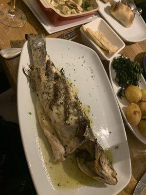 Branzino