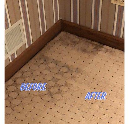 Carpet cleaning before and after