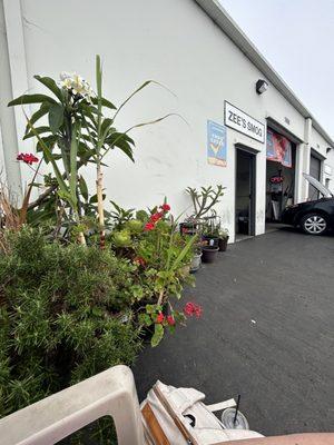 Waiting area by some nice plants