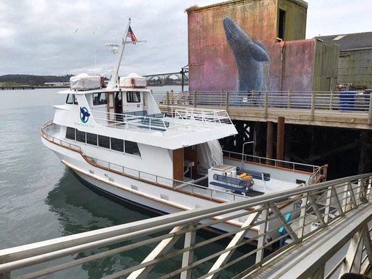 The boat in dock.