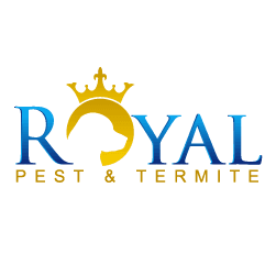 Contact Us Today! http://wefindpest.com/contact/