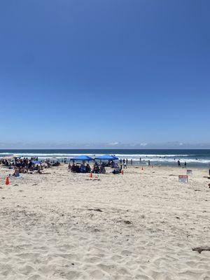 Ocean Front Walk