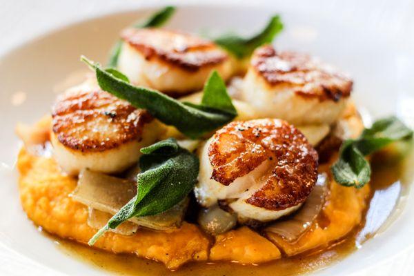 Diver Scallops