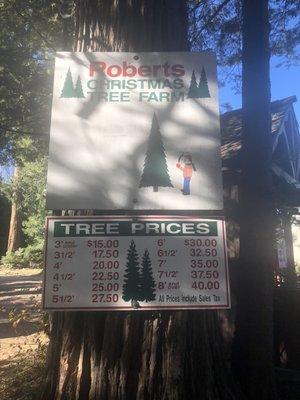 2021 tree prices