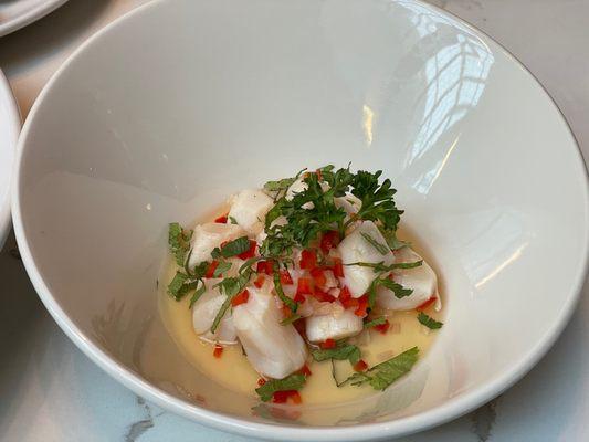 Scallop ceviche