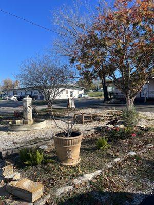 Cute little garden outside with a water feature