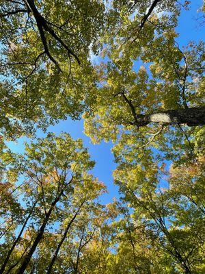 Presque Isle Park