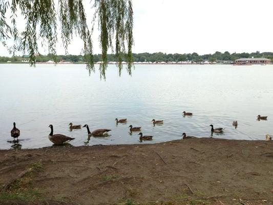 The quieter side of meadow lake during the dragon boat race and festival.