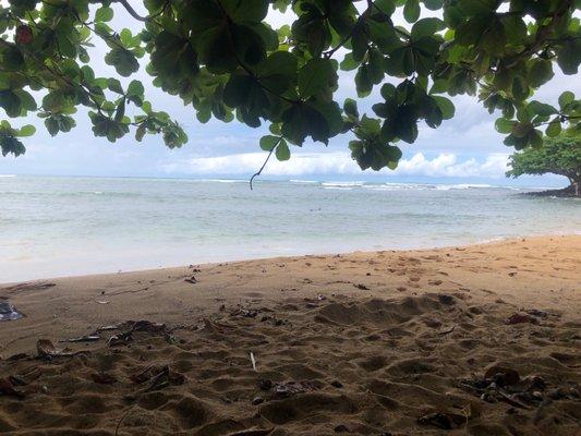 Surf is a bit rough today, tide is rising, and it's overcast.