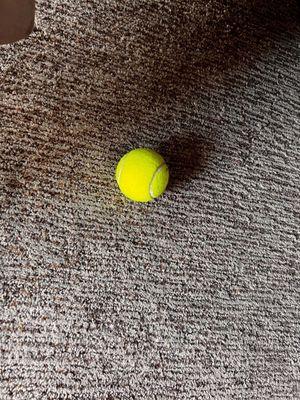 Brand new tennis ball. My fiancé brought it in for my 2.5 year old niece to play with.