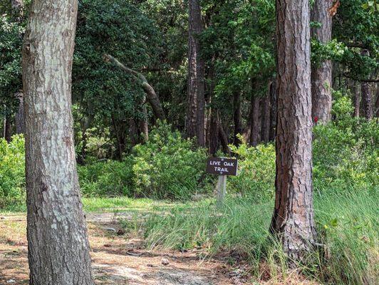 Here's a trail close to the small beach.