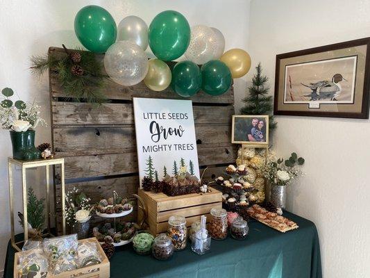 Cake table, backdrop, props for baby shower