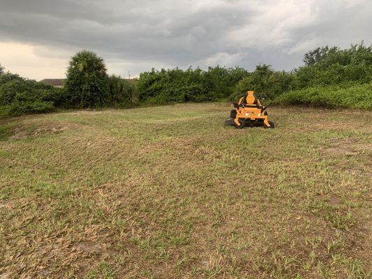 CUB CADET