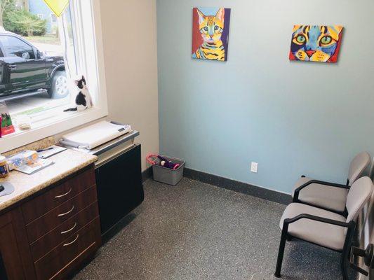 Clean, welcoming exam rooms; complete with toys for patients, calming fear-free species-specific pheromones, music and colors.