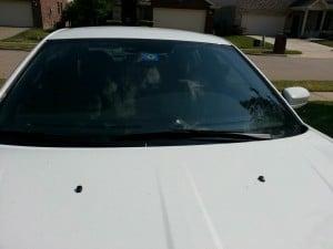 Repaired Windshield