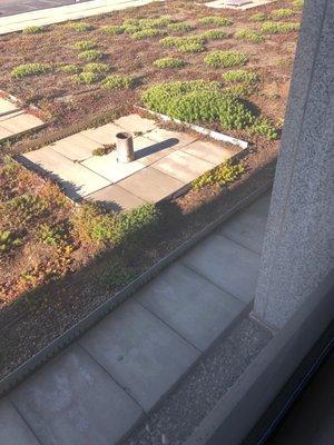 Green roof