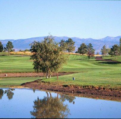 Reno/Sparks offers a great selection of golf courses from public to private.