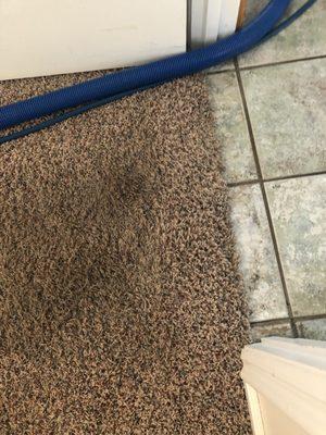 We include edge cleaning with our carpet cleaning specials