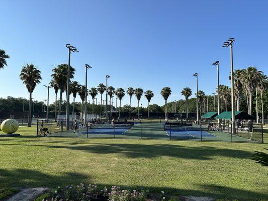 Four pickleball courts