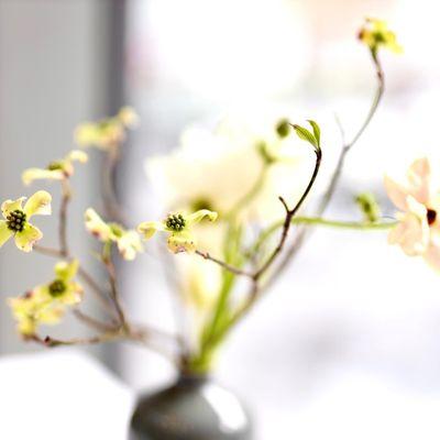 Table setting/plant/flower