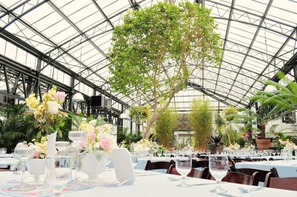 Wedding Bliss at the Conservatory