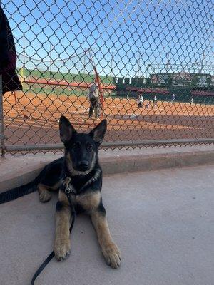 Being a great boy at a baseball game!