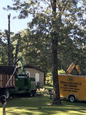 Chipping trees minimizes impact to your property by eliminating hauling.