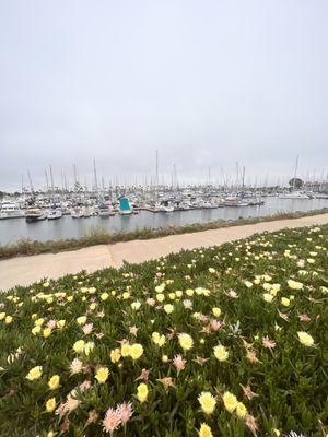 Beautiful harbor just outside the restaurant