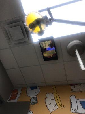 Ceiling Tv