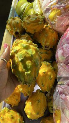 Dragon fruit