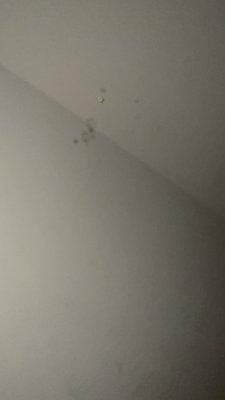 Marked where some holes and light were coming through my walls/ceiling