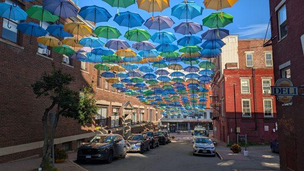 Cool canopied street!