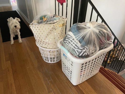 Clean clothes for the whole fam - folded, sorted, and delivered!