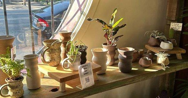 A selection of vases and planters in our front room