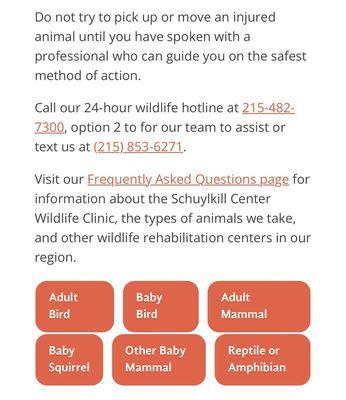 Wildlife Clinic at the Schuylkill Center