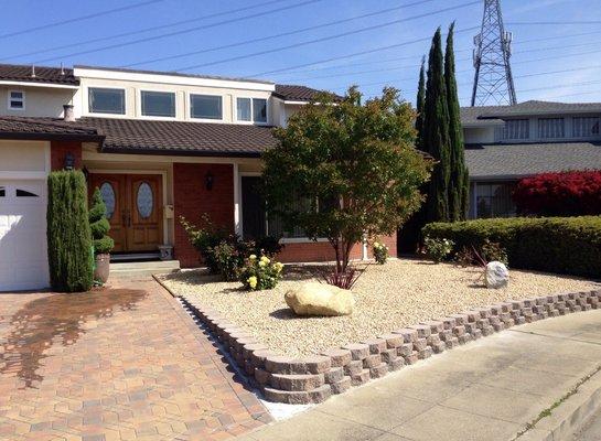 Low maintenance landscape replaced lawn in Foster City.