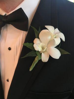 Dendrobium Orchid Boutonniere